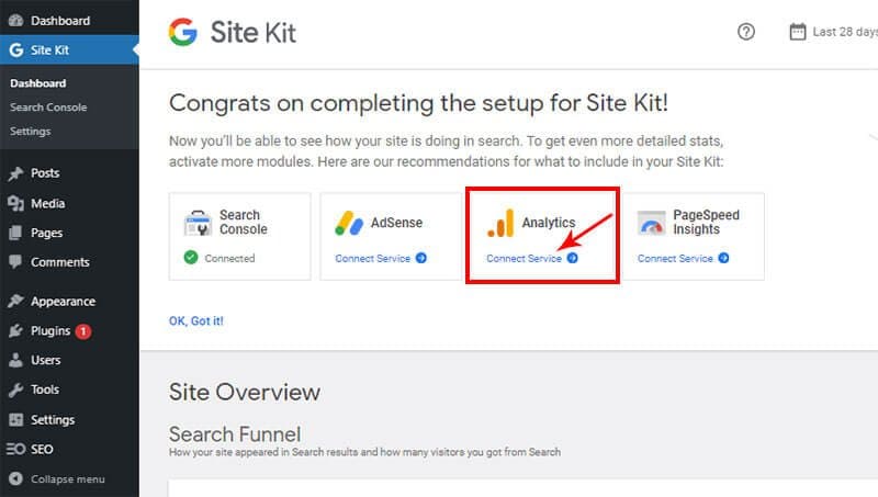 Connect to Analytics on Site Kit